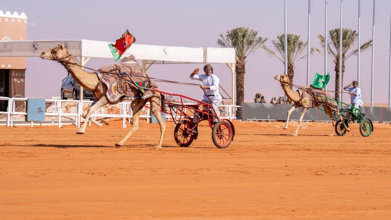 الهجانة السلطانية تشارك في مهرجان الملك عبد العزيز للإبل بالسعودية وفعالية الهجن وكأس العالم 2022 بقطر