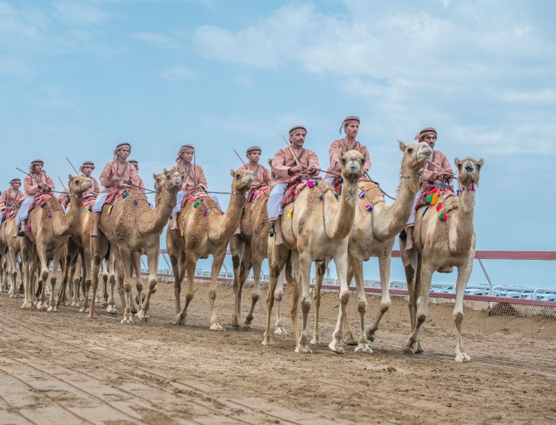 الهجانة السلطانية تشارك في مهرجان الملك عبد العزيز للإبل بالسعودية وفعالية الهجن وكأس العالم 2022 بقطر