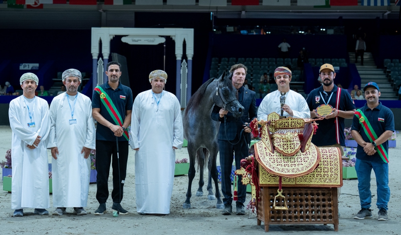 الخيالة السلطانية تفوز بميدالية ذهبية وميداليتين فضيتين في ختام منافسات البطولة الدولية لجمال الخيل ...